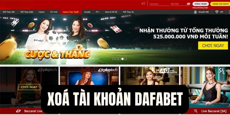 Nguyên nhân cần xóa tài khoản Dafabet